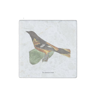 The Golden or Baltimore Oriole (Icterus galbula) Stone Magnet