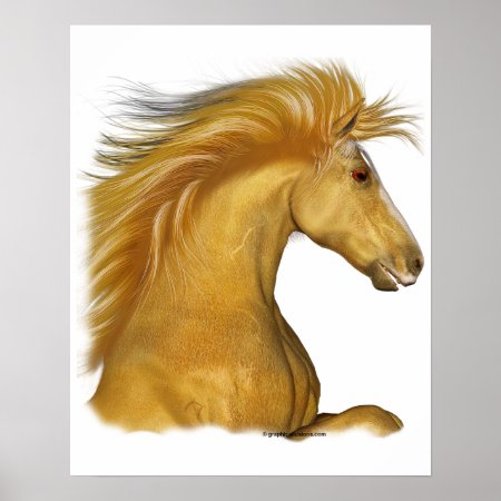 The Golden Palomino