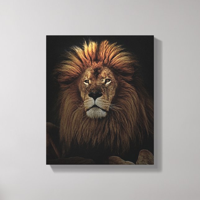 The Golden Proud  Lion Africa Canvas Print (Front)