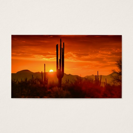 The Golden Southwest Skies (Front)