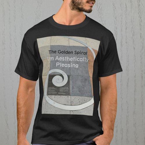 The Golden Spiral Aesthetically Pleasing T_Shirt