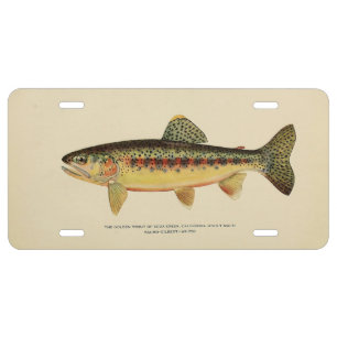The Golden Trout of Soda Creek, California License Plate