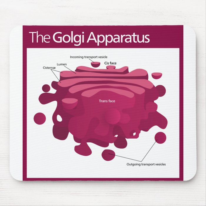 The Golgi apparatus Golgi complex Diagram Mouse Pad