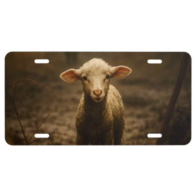 The Good Shepherd and the Lost Lamb – Jesus & Lamb License Plate (Front)