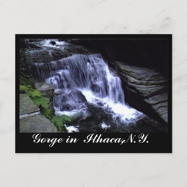 THE GORGES OF ITHACA, N.Y. postcard (Front)