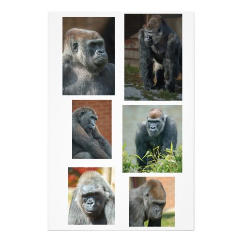 The Gorilla Troop Photo Print