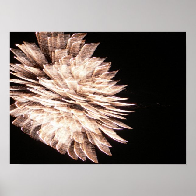 The Graceful Poster (Front)