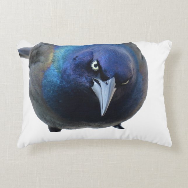 The Grackle Pillow (Front)