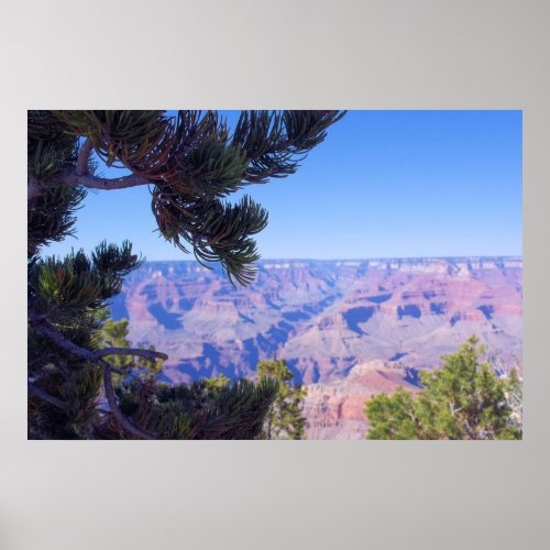 The Grand Canyon _ Arizona _ USA Poster