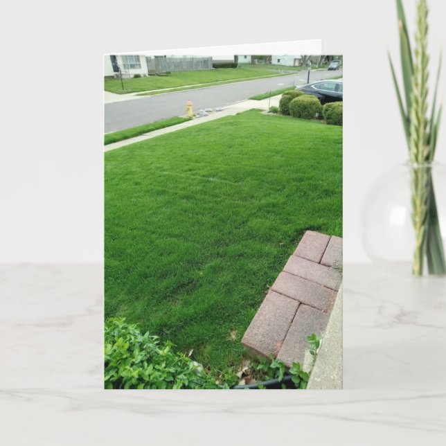 The Grass is Green CARD    (Front)