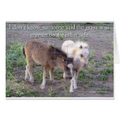 The Grass is Greener (Front Horizontal)