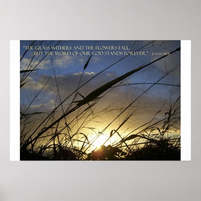 The Grass Withers Poster (Front)