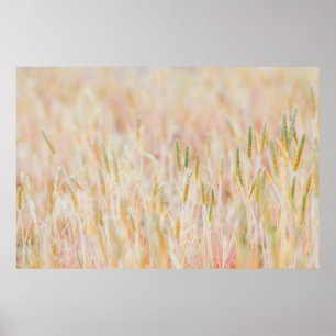 THE GRASSLAND WAS TURNED INTO PASTEL-COLORED BY HE POSTER