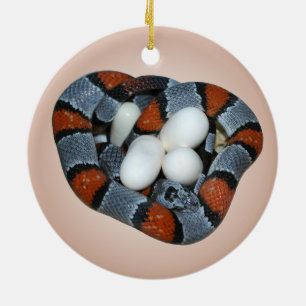 The gray-banded kingsnake ceramic ornament