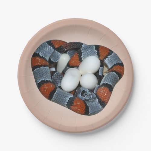 The gray_banded kingsnake paper plates