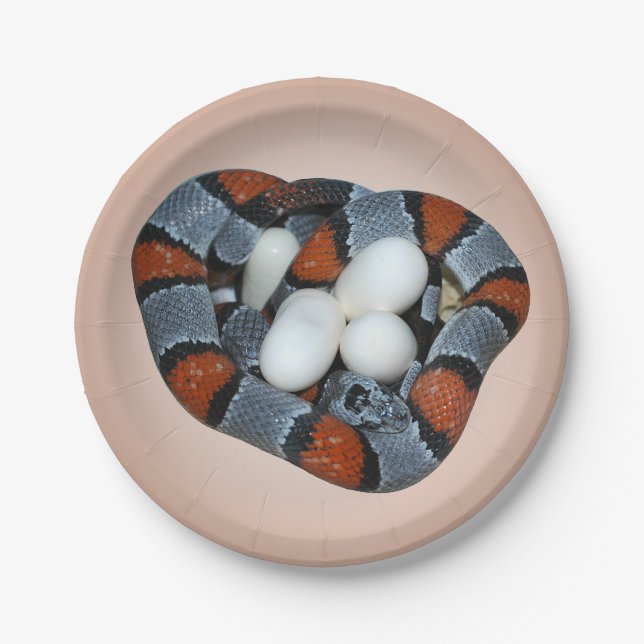 The gray-banded kingsnake paper plates (Front)