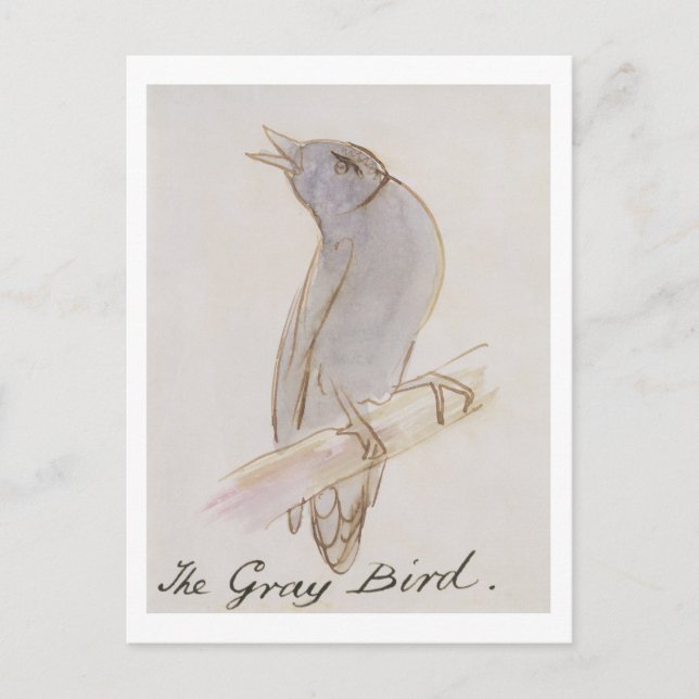 The Gray Bird, from 'Sixteen Drawings of Comic Bir Postcard (Front)