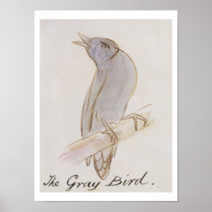 The Gray Bird, from 'Sixteen Drawings of Comic Bir Poster