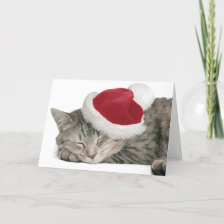 The Gray Cat Sleeps In A New Year's Cap Holiday Card