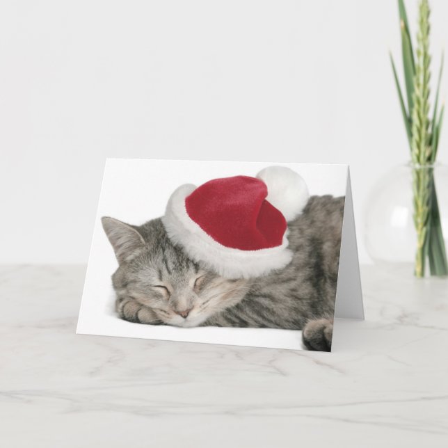 The Gray Cat Sleeps In A New Year's Cap Holiday Card (Front)