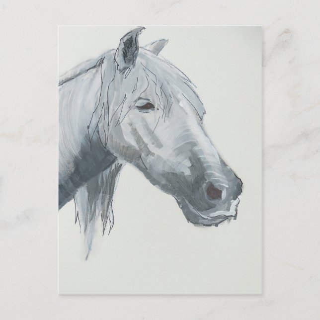 The Gray Gaze Postcard (Front)