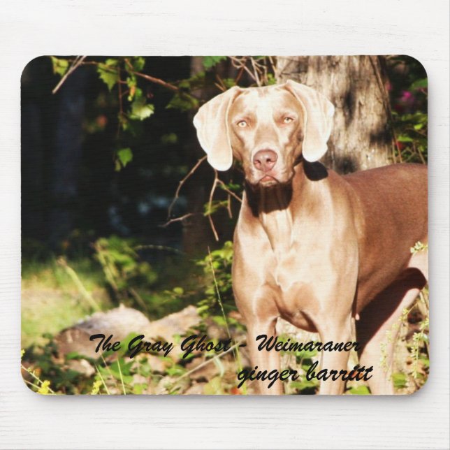 The Gray Ghost - Weimaraner, ginger ... Mouse Pad (Front)
