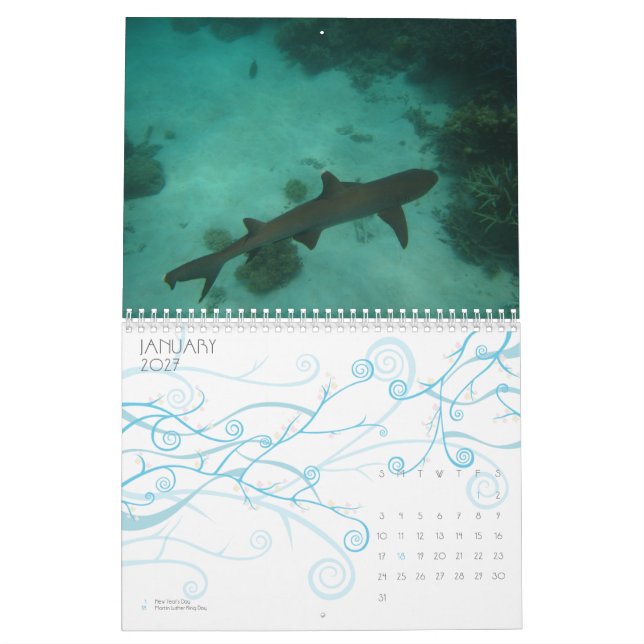 The Great Barrier Reef, Australia Calendar (Jan 2027)