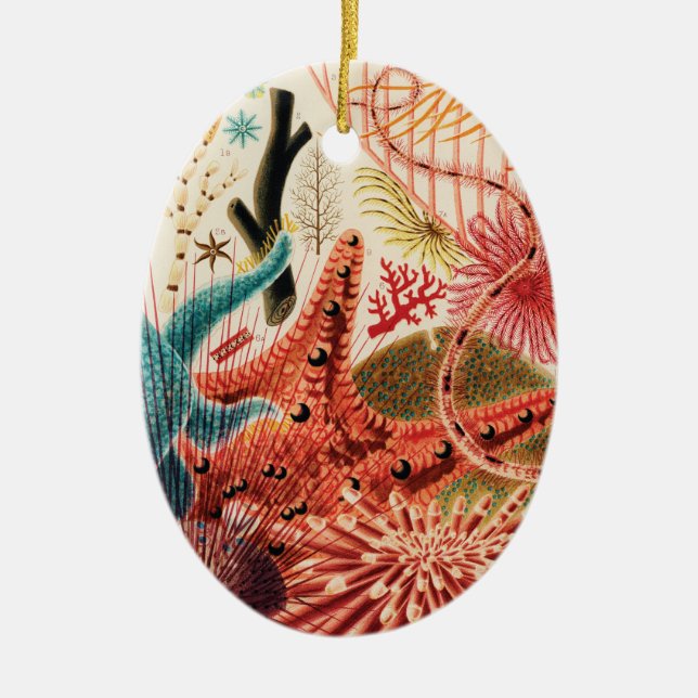 The Great Barrier Reef Australia Ceramic Ornament (Front)