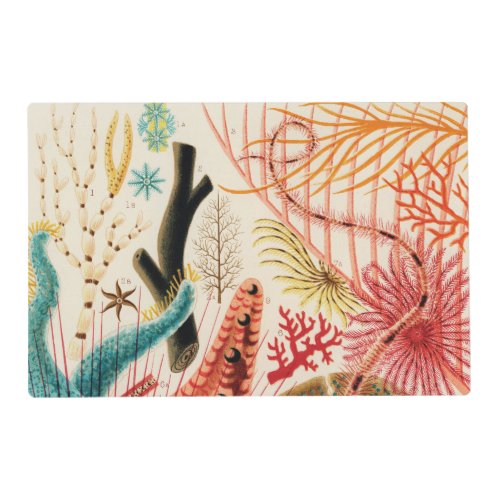 The Great Barrier Reef Australia Placemat
