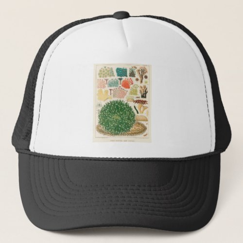 The Great Barrier Reef of Australia Colorful Coral Trucker Hat