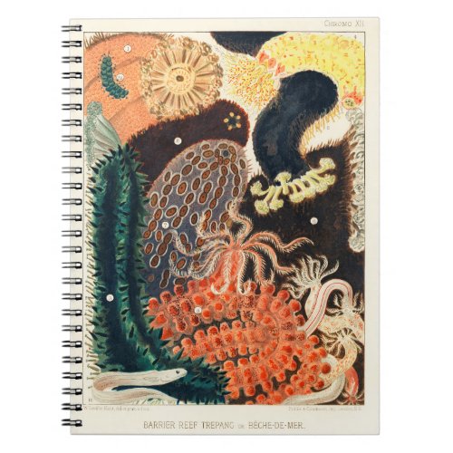 The Great Barrier Reef of Australia Notebook