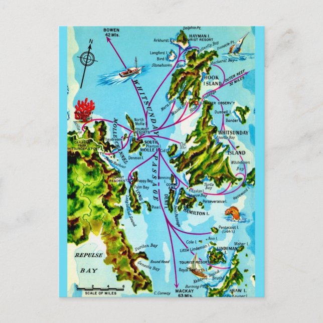 The Great Barrier Reef Postcard (Front)