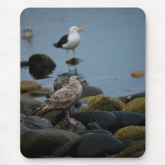 The Great Black-backed Gull Mousepad