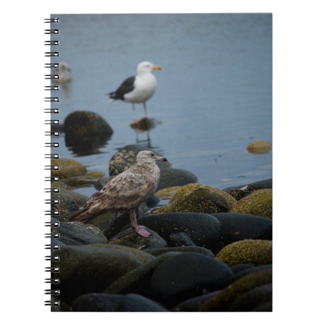 The Great Black-backed Gull Notebook (Front)