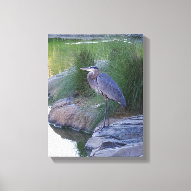 The Great Blue Heron Canvas Print (Front)