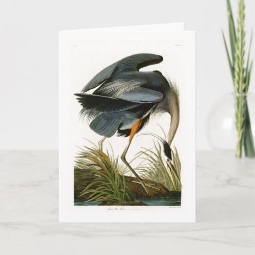 The Great Blue Heron John Audubon Birds of America Card