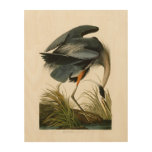 The Great Blue Heron John Audubon Birds Of America Wood Wall Art at Zazzle