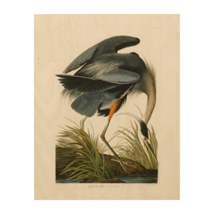 The Great Blue Heron John Audubon Birds of America Wood Wall Art