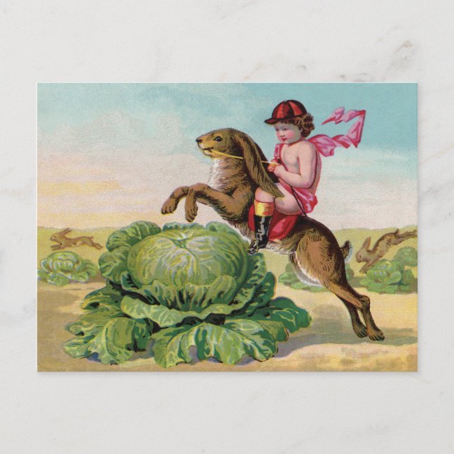 The Great Cabbage Patch Steeplechase Postcard (Front)