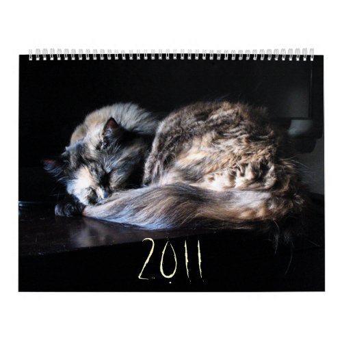 The Great Cat Menace Calendar