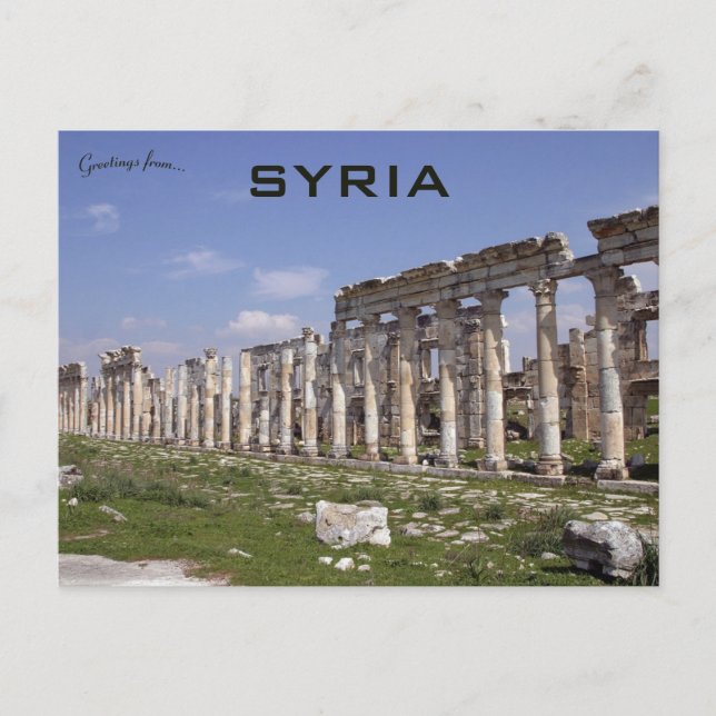 The Great Colonnade at Apamea Syria Postcard (Front)