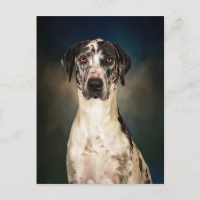 The Great Dane Postcard (Front)