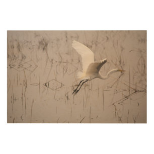 The Great Egret 36" x 24" Wood Wall Art