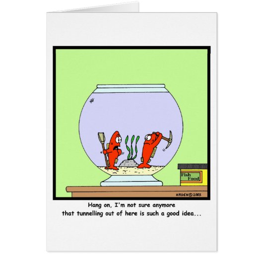The Great Escape: Goldfish cartoon Cards (Front)