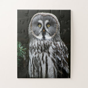 The Great Grey Owl 11x14 30pc jpcnm Jigsaw Puzzle