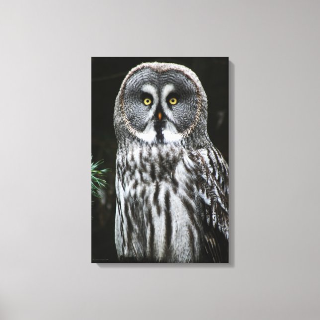 The Great Grey Owl 16x24 (40x60cm) waccna Canvas Print (Front)
