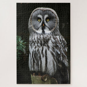 The Great Grey Owl 20x30 1014pc jpa Jigsaw Puzzle