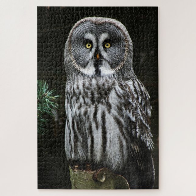 The Great Grey Owl 20x30 1014pc jpm Jigsaw Puzzle (Vertical)