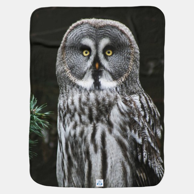 The Great Grey Owl bbi Baby Blanket (Back)