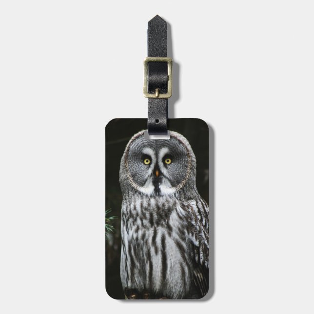 The Great Grey Owl cd ltcnm Luggage Tag (Front Vertical)